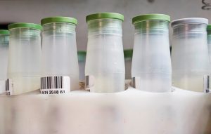 Milchmonitoring: Untersuchung auf Perfluoroctansulfonsäure (PFOS) und PFOA werden mit aufgenommen. Foto: ©Marco Grundt