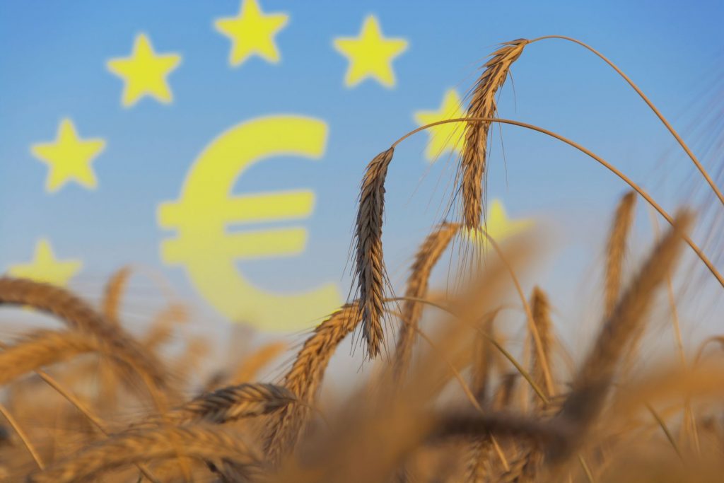 Erfahrungen bündeln, austauschen und gemeinsam an Lösungen für die intensive Landwirtschaft auf EU-Ebene arbeiten: Das war das Ziel der ersten strategischen Konferenz mit Landwirtschaftministerin Barbara Otte-Kinast und einigen Vertretern aus EU-Ländern in Brüssel. 