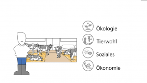 Erklärvideo nachhaltigkeit