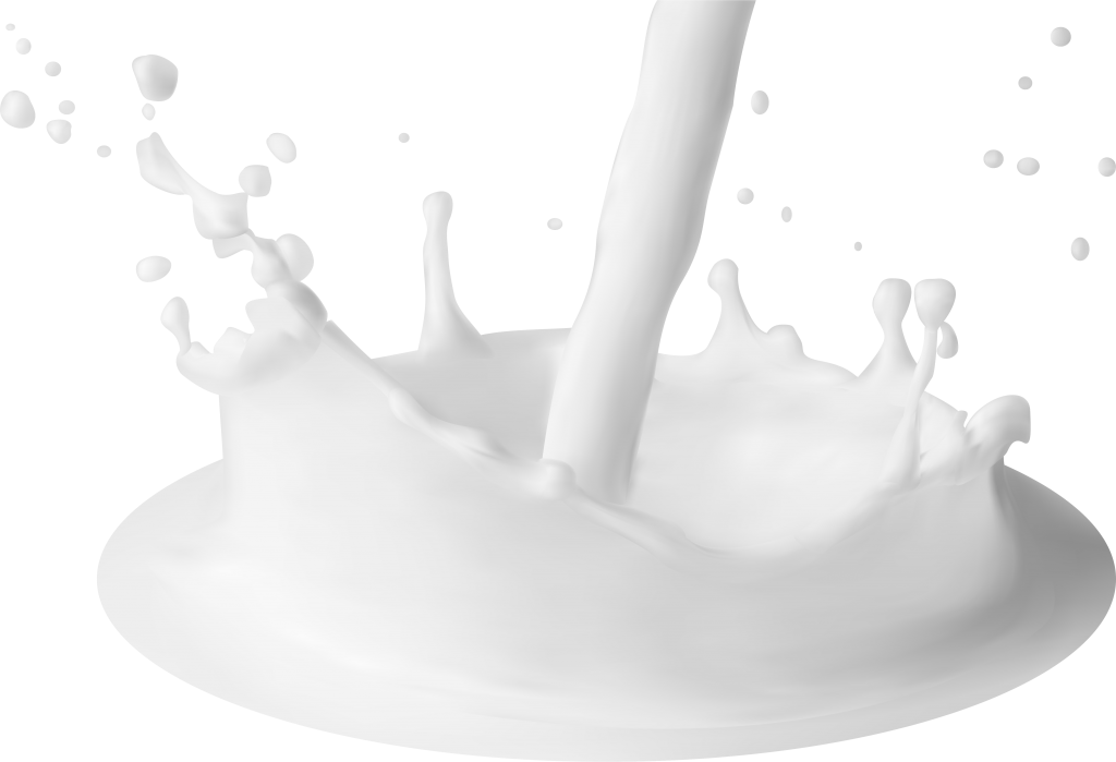 Bezeichnungsschutz Milch