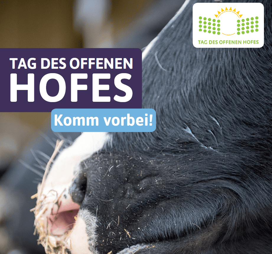 Tag des offenen Hofes mit Motiv Kuh