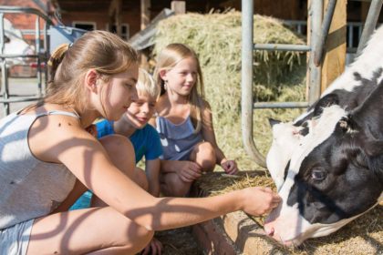 Urlaub auf dem Bauernhof