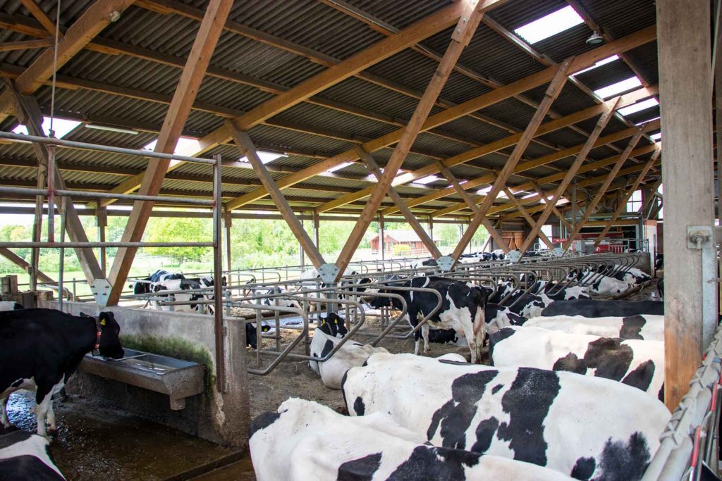 Milchlandpreis 2020: Hofschildübergabe bei Familie Janke