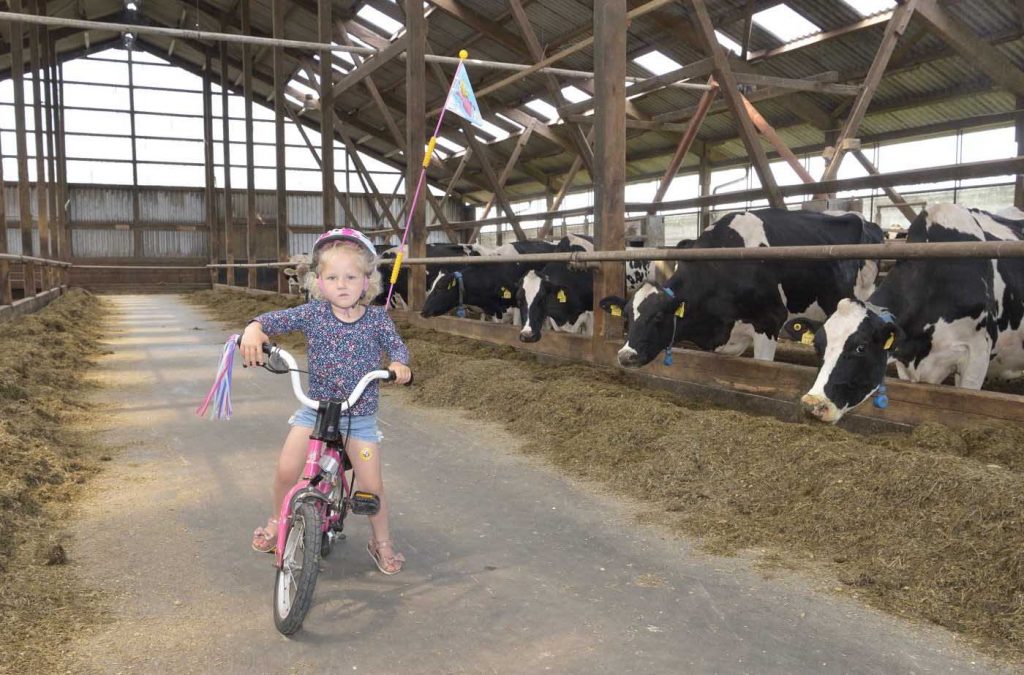 Milchlandpreis 2020: Hofschildübergabe bei Familie Borchers