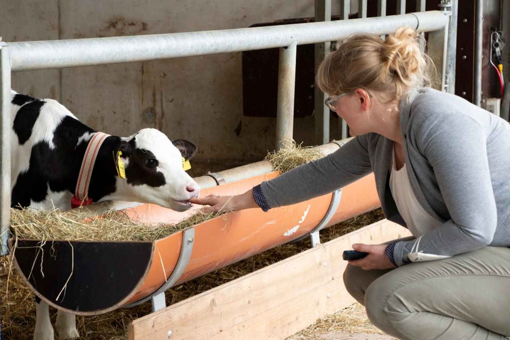 Milchlandpreis 2020: Hofschildübergabe bei Familie Hasselhorn