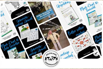 Pinterest Profil von Milchland Niedersachsen