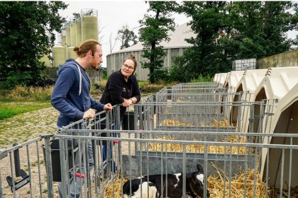 Timo spricht in Folge 11 über die Trennung von Kuh und Kalb