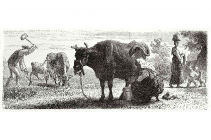 Milchwirtschaft früher