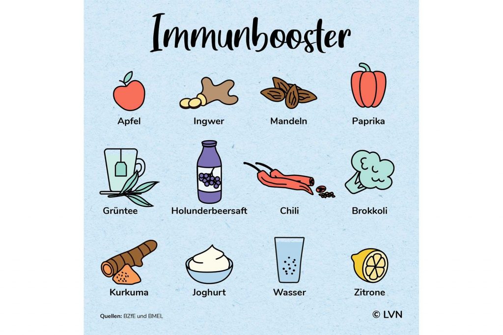 Infografik Immunbooster