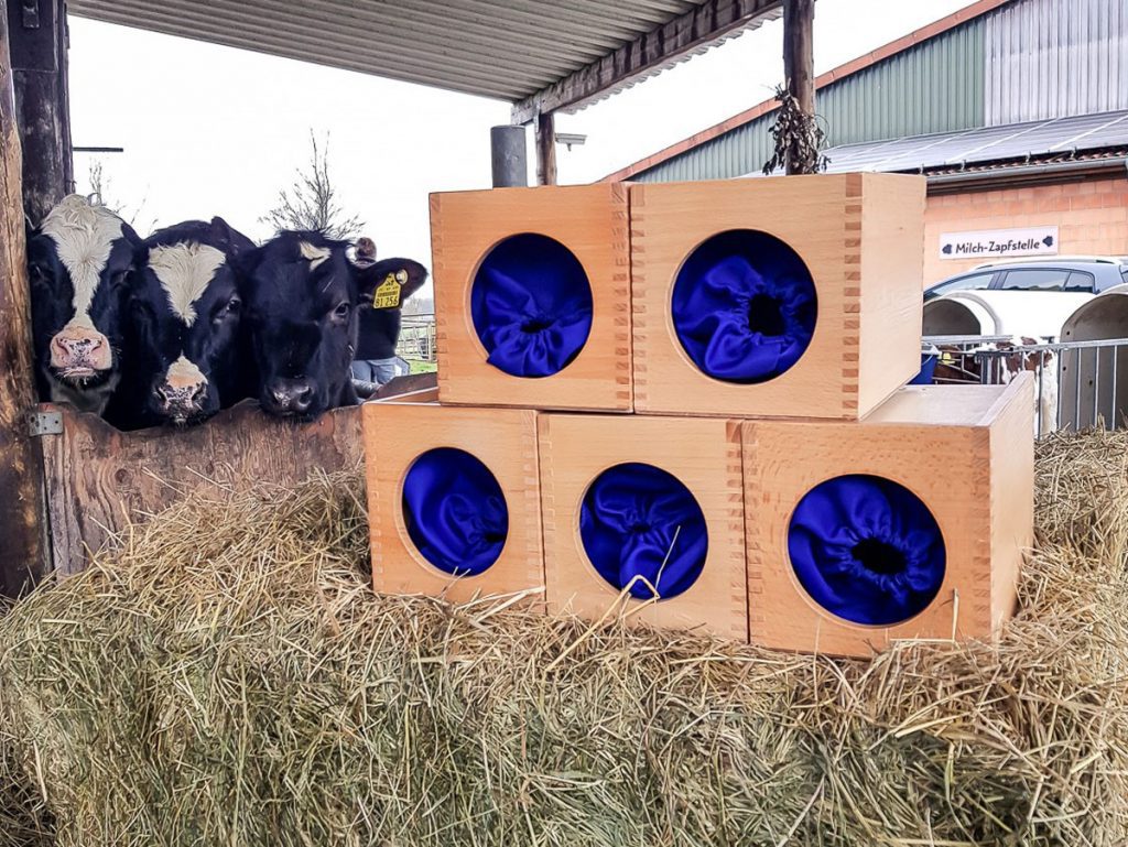 Podcast StadtLandKuh: Fühlboxen