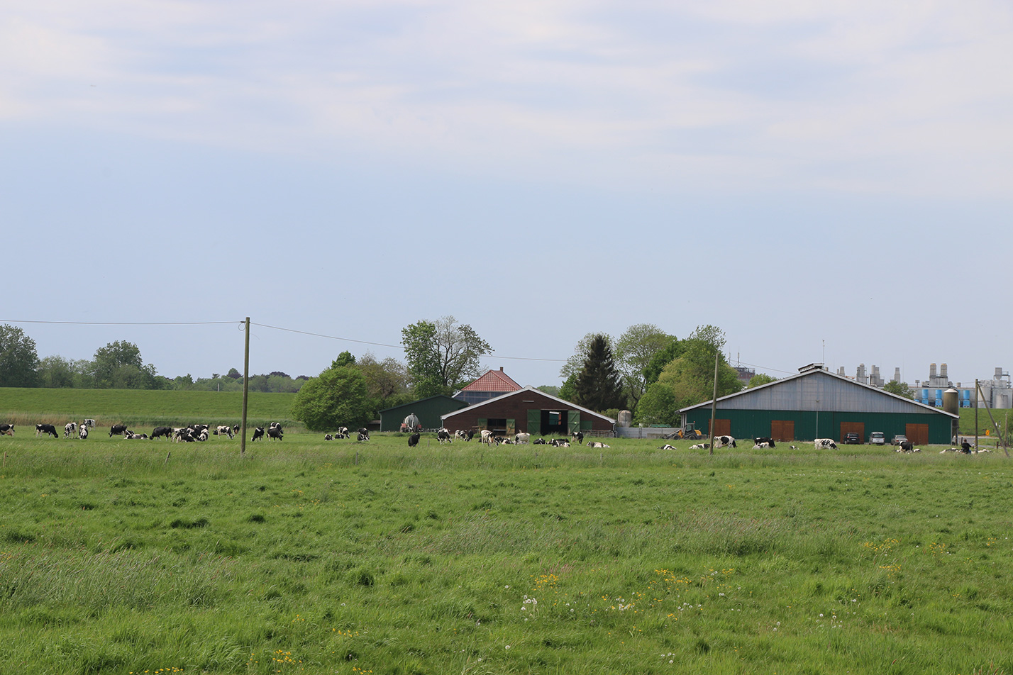 Hofschildübergabe bei Familie Wessels