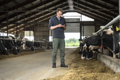 Digitalisierung in der Milchviehhaltung_Landwirt im Kuhstall