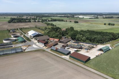 Bauernhof mit Milchkühen in Hannover