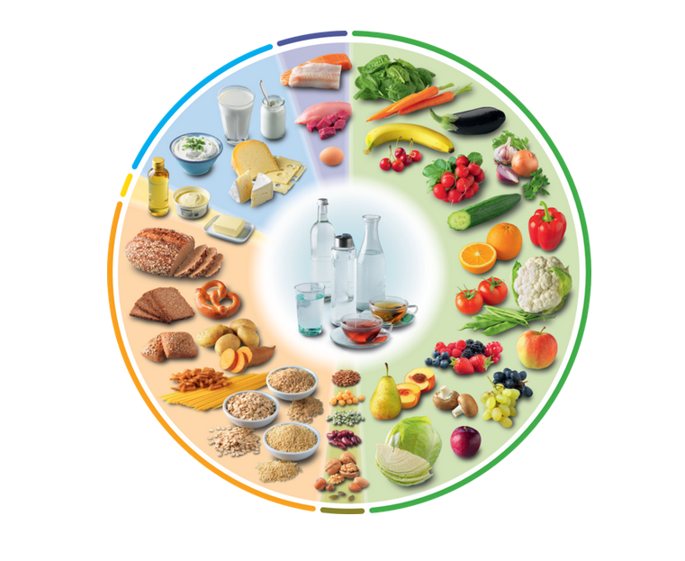 Neuer DGE-Ernährungskreis