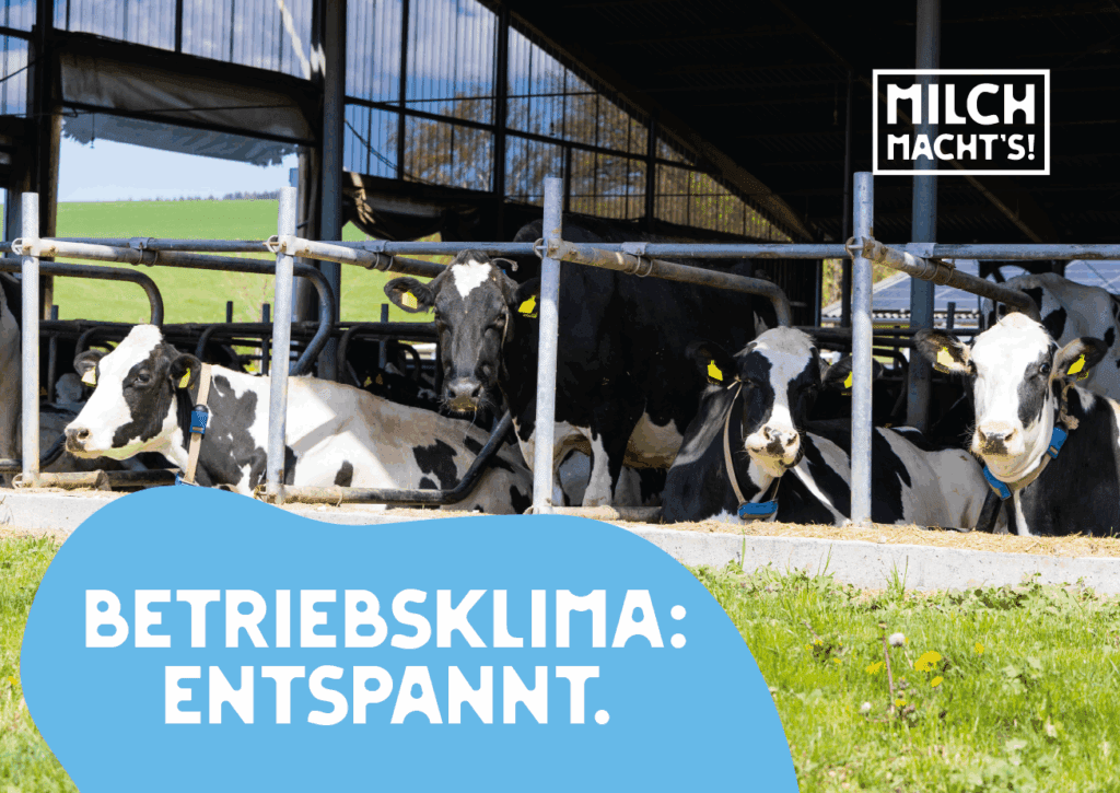 Neue Spannplakate der LVN