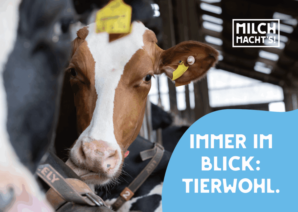 Neue Spannplakate der LVN