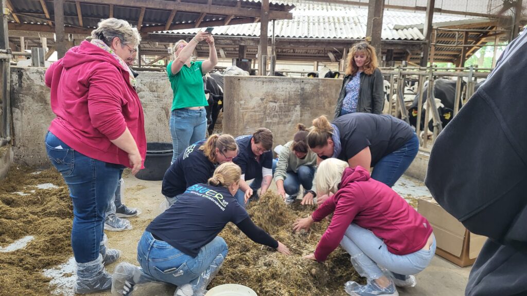 BNE im Kuhstall – Lehrerfortbildung_©LVN