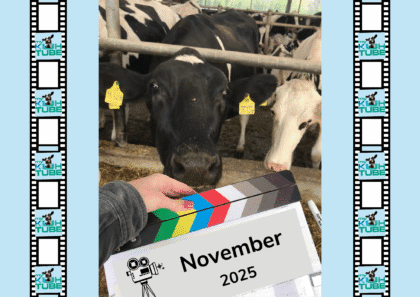Filmklappe im Kuhstall mit Aufschrift November My KuhTube