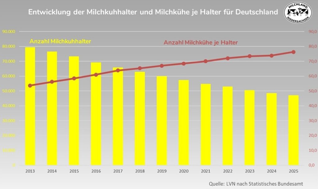 Novemberzählung: Entwicklung Milchkuhhalter und Kühe D