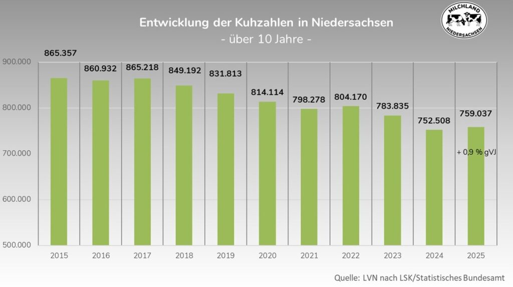 Novemberzählung: Kuhzahlen in NI