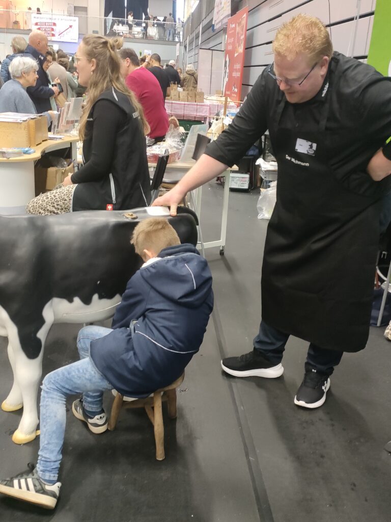 Junge melkt Melkkuh auf der Genussmesse Aurich