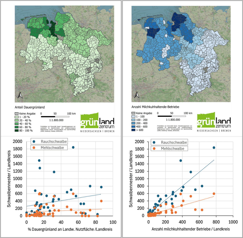 Dauergründland in Korrelation mit der Schwalbenzählung 2023