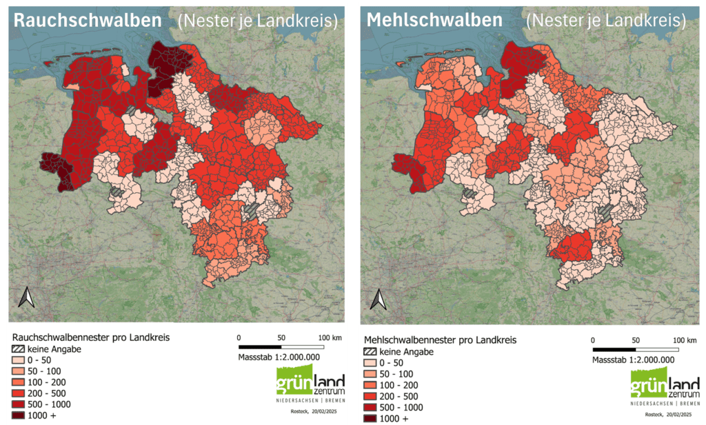 Gemeldete Schwalbennester bei der Schwalbenzählung 2023