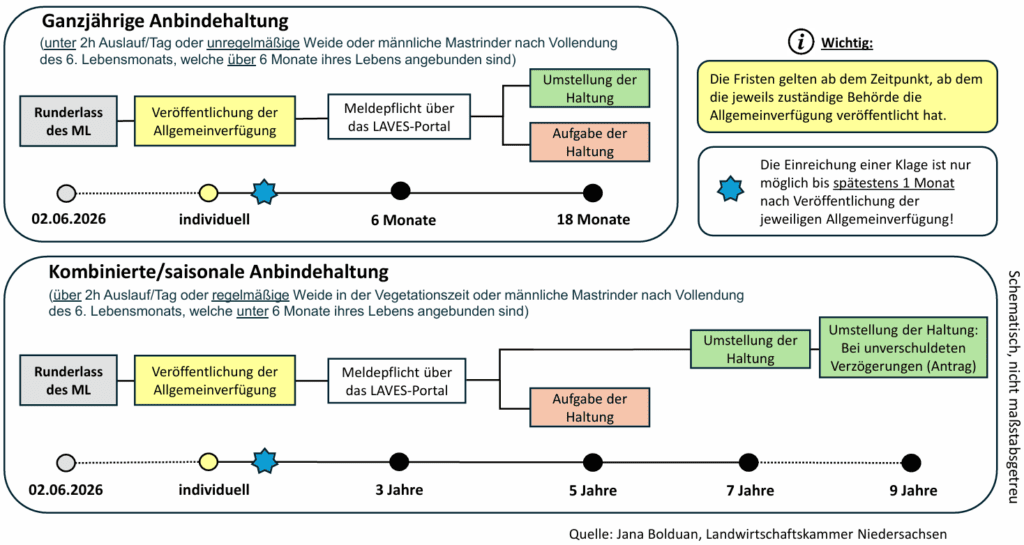 Infografik zur Anbindehaltung
